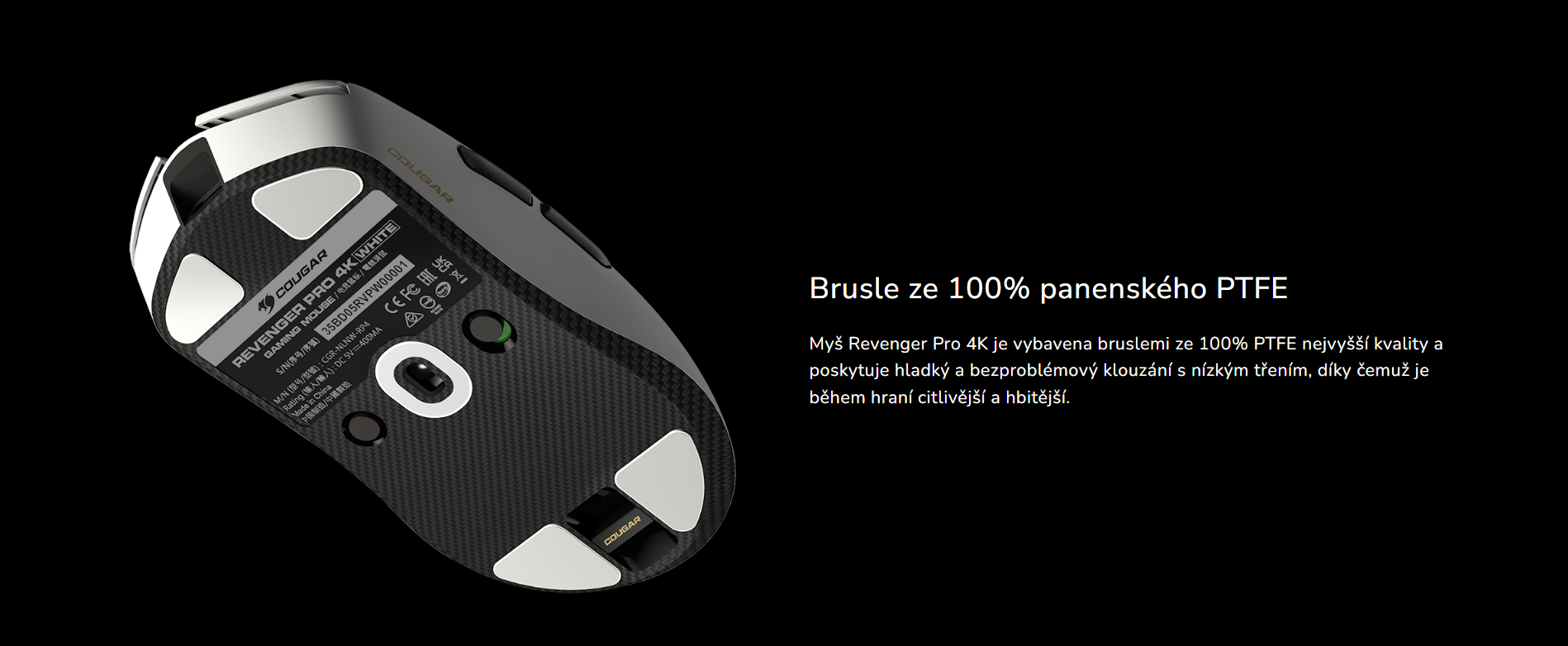 Snímek obrazovky 2026-03-24 115002